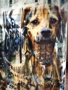 01bd17de763fd8044045d0e11563e04d51055e3ec4