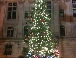 Paterson xmas tree