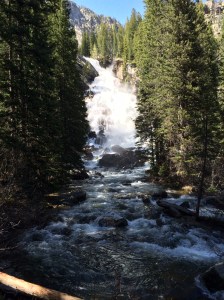 Hidden Falls near Jenny Lake