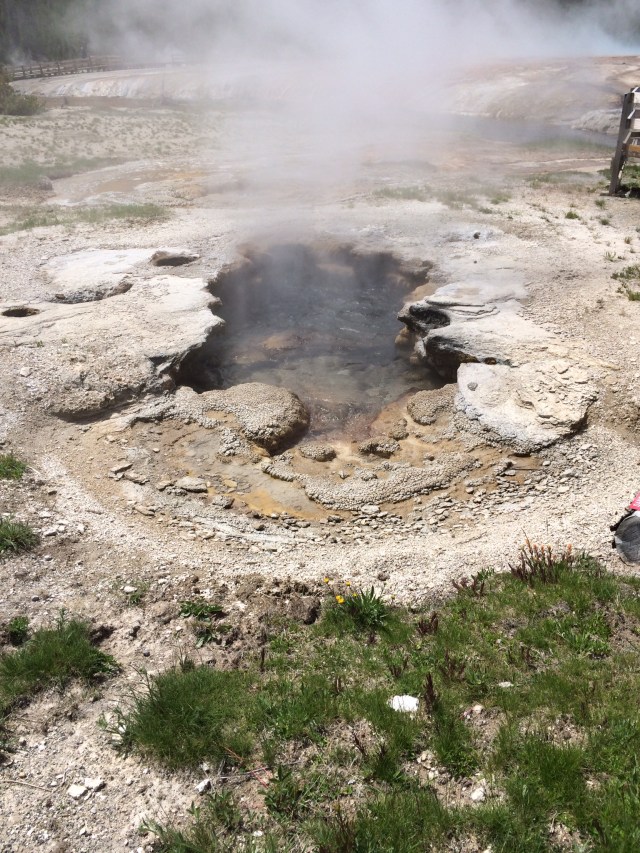 Yellowstone National Park