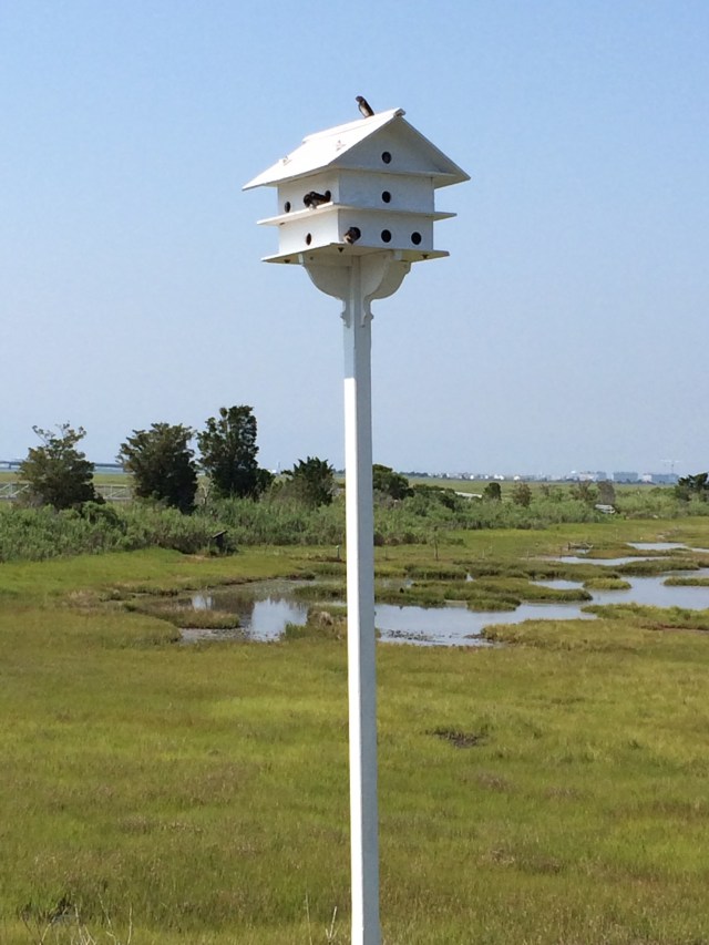 The Wetlands Institute, Stone Harbor
