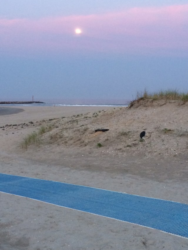 the moon rising over Avalon's 8th Street beach.