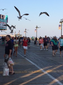 The seagulls are ready to swoop for a stray slice.