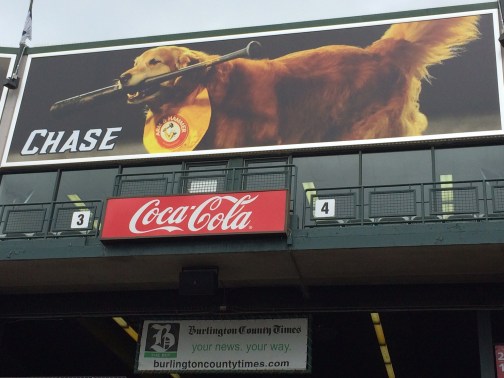 The Thunder's legendary batdog Chase