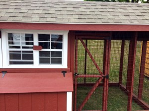 ou could pick up a new chicken coop