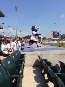 The Boulder Bird, because its hard to come up with a mascot thats a boulder.
