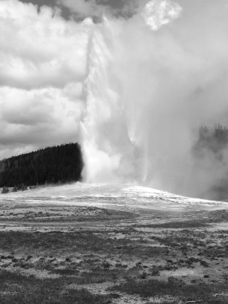 Old Faithful