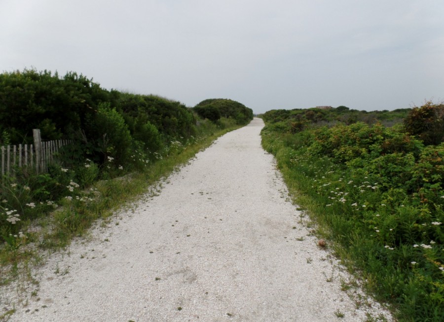 Beach path
