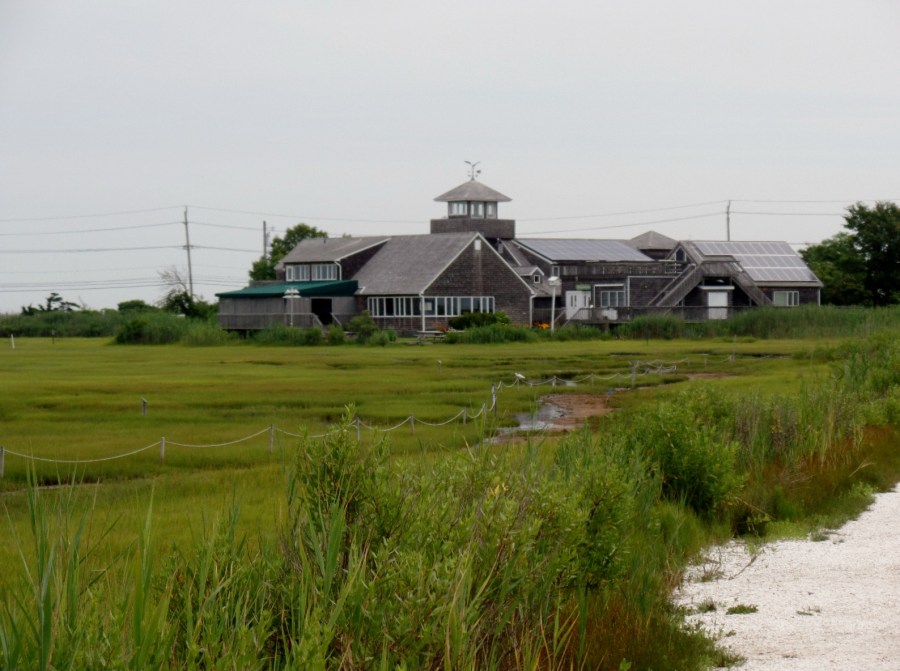 Wetlands Institute