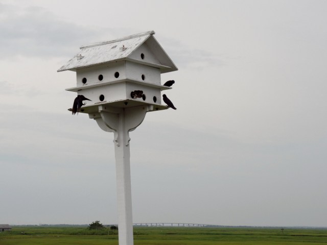 Birdhouse