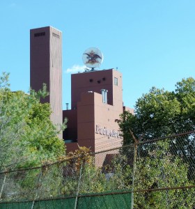 Budweiser plant