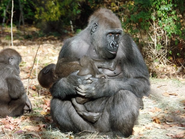 Mother with baby