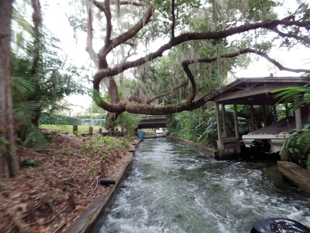 canal at Winter Pfark