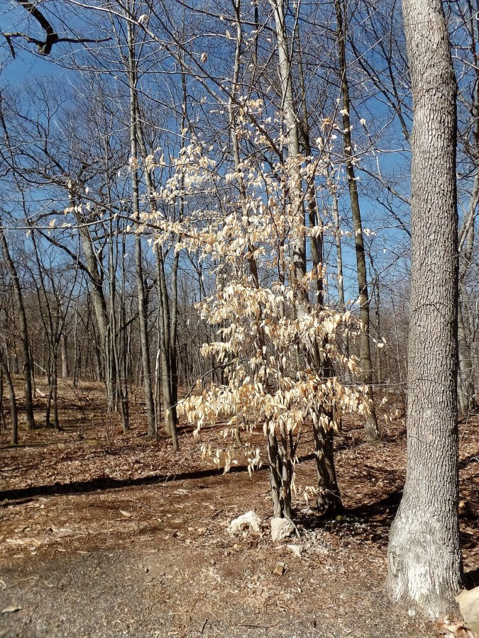 Eagle Rock Reservation