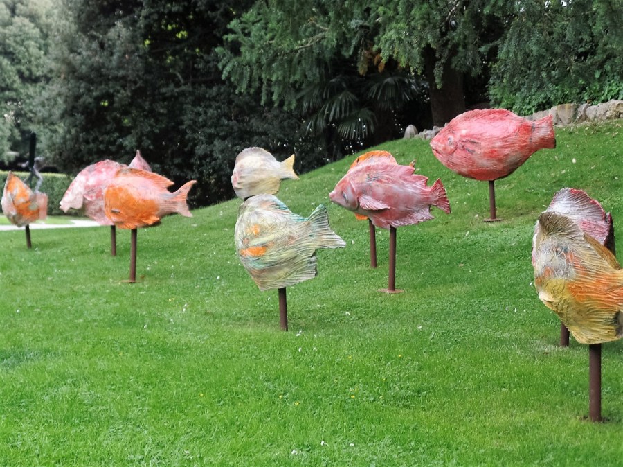 Swimming in the garden