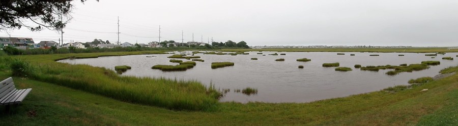 The Wetlands Institute