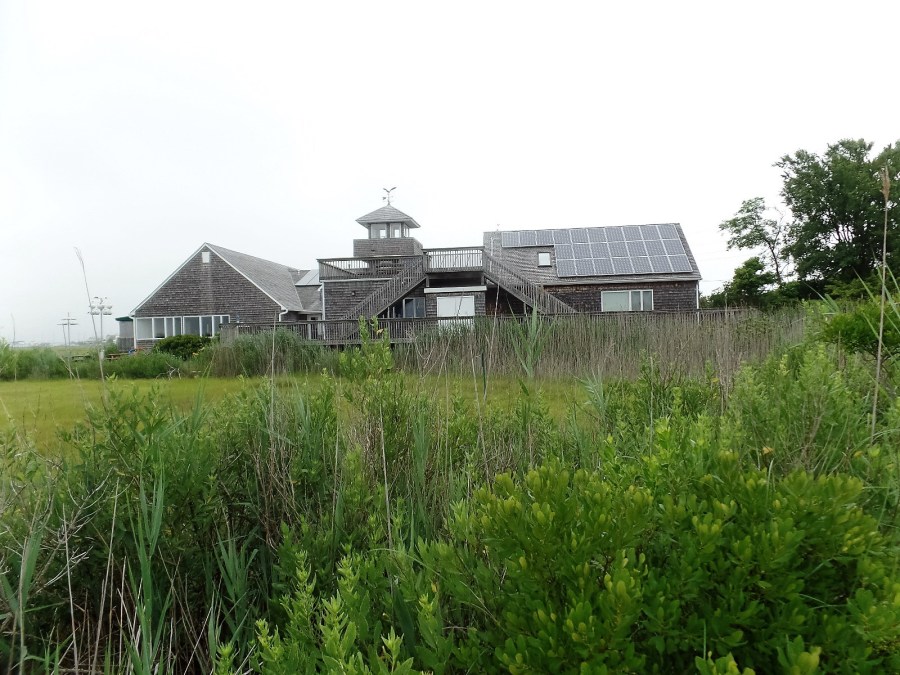 Wetlands Institute