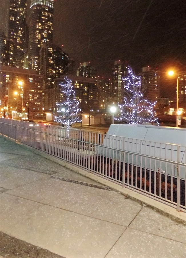 Christmas in Toronto