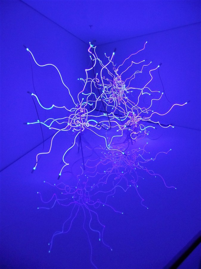 Blown glass by Chihuly