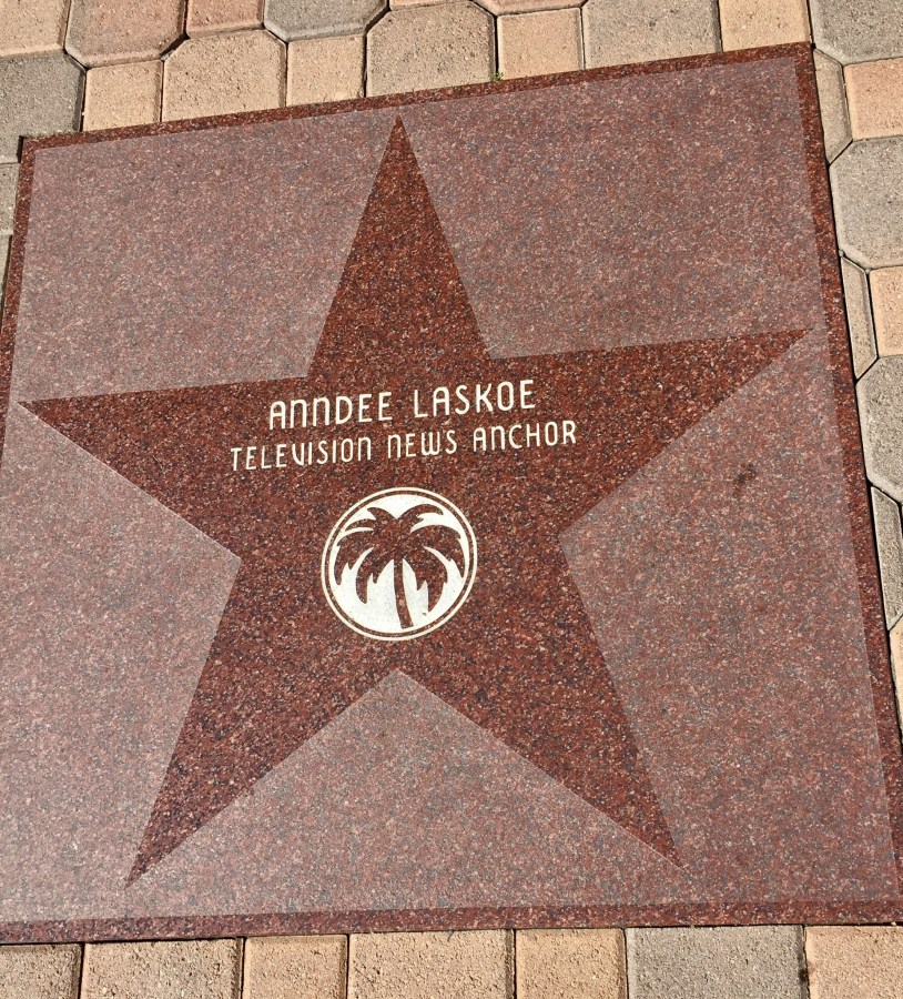 television news anchor