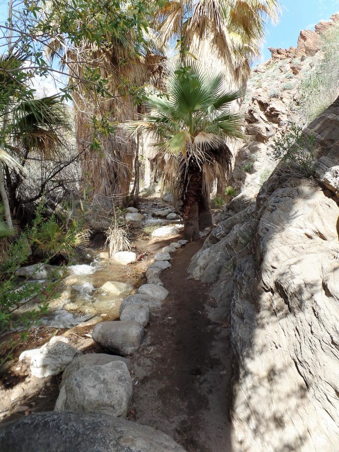 Desert mountain stream