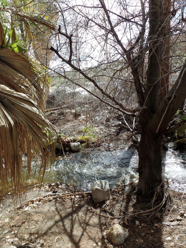 Palm Springs trail