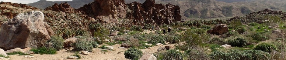 Indian Canyons, Palm Springs