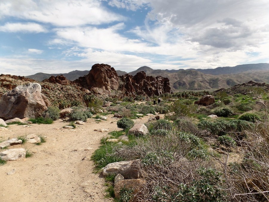 Indian Canyons, Palm Springs