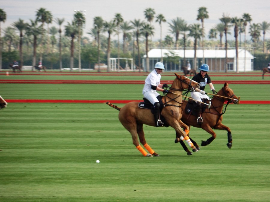 the polo grounds at Eldorado Polo Club