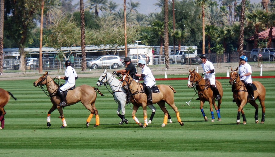 Eldorado Polo Club
