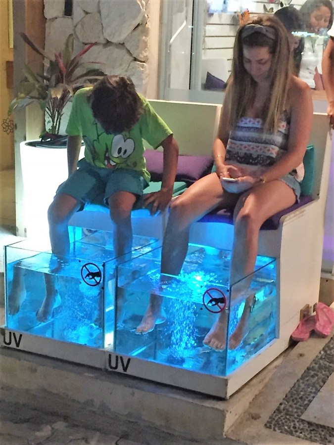 fish tank foot cleaning