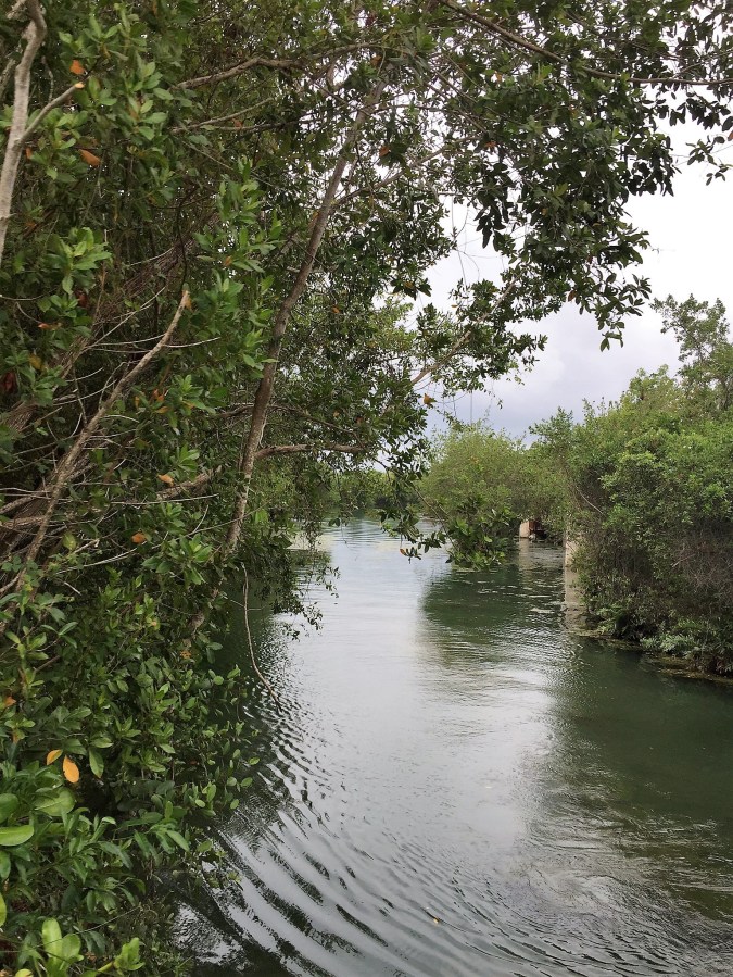 Mayakoba canal