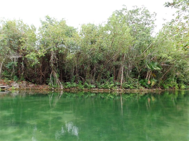 canal bank in Mexico