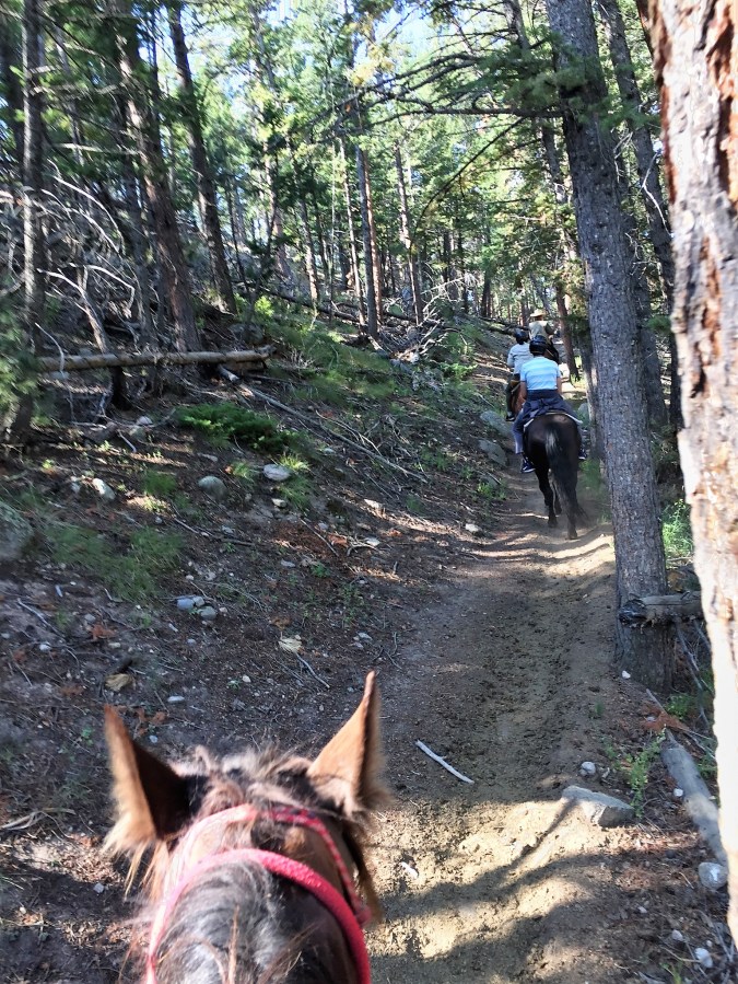 Rocky Mountain National Park trail