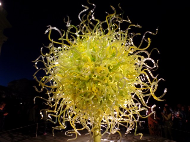 Chihuly nights