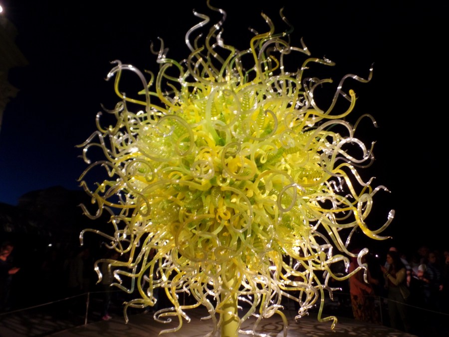 Chihuly nights