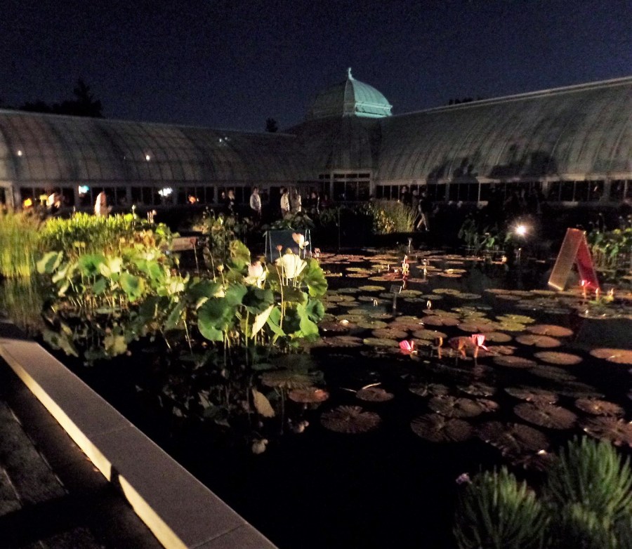 The conservatory pond