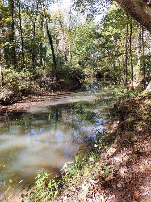 River through Great Swamp