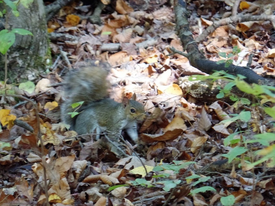 National Wildlife Refuge