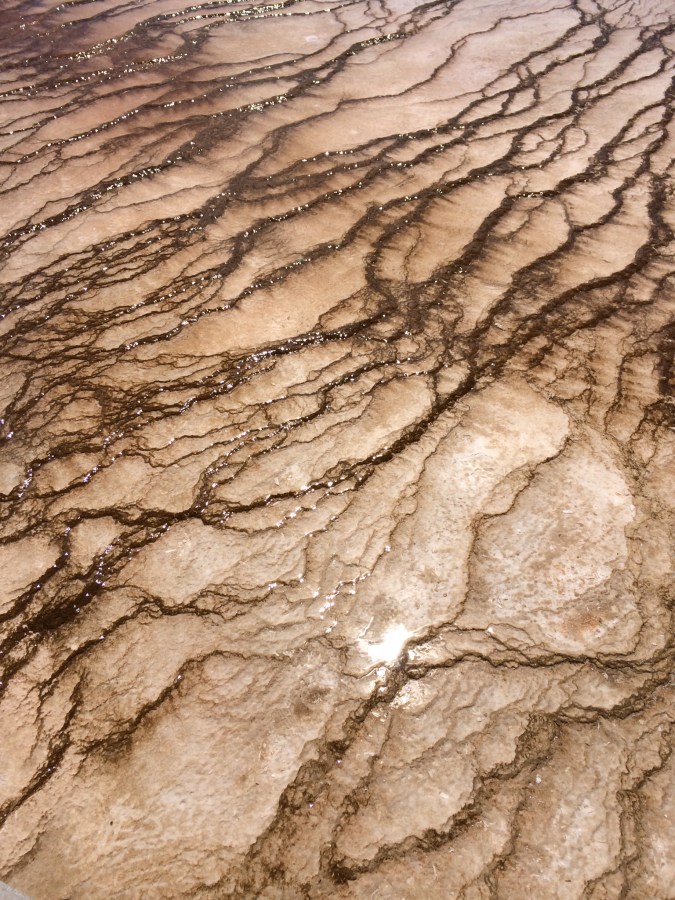 Yellowstone National Park