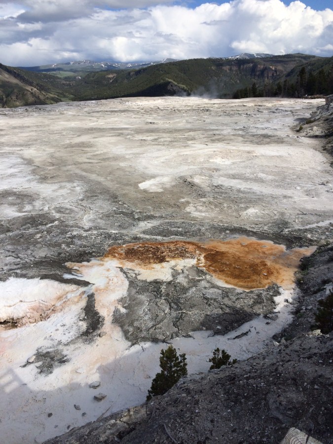 Ywellowstone National Park