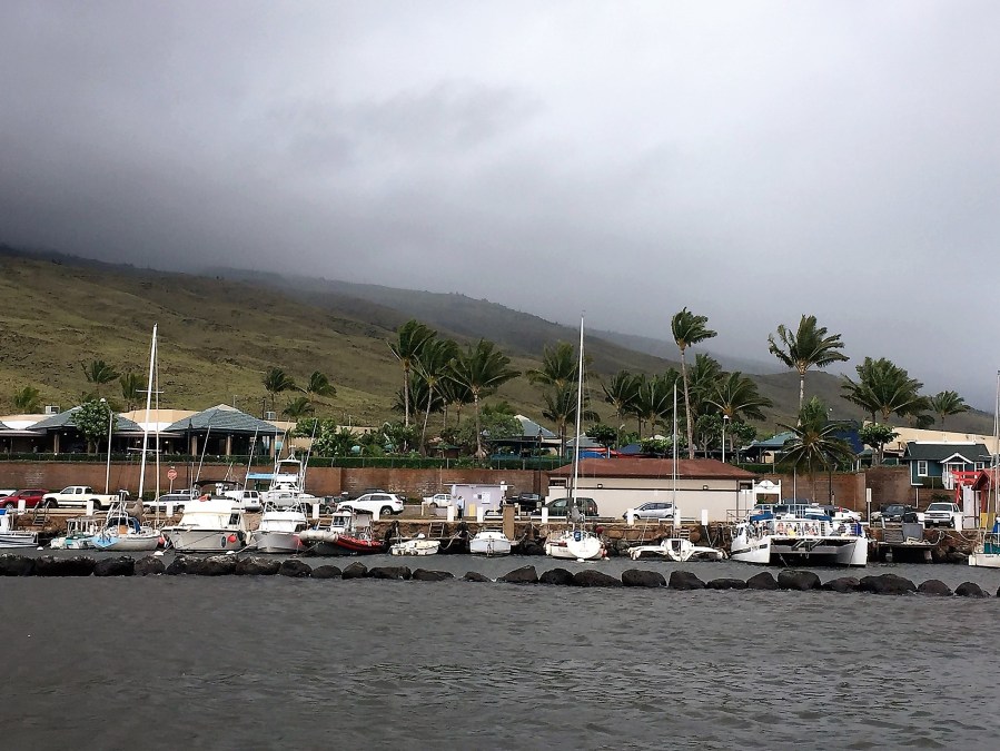 Ma'alaea harbor