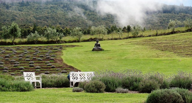 Ali'i Kula lavender farm