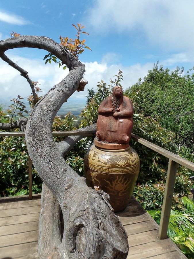 Ali'i Kula lavender farm