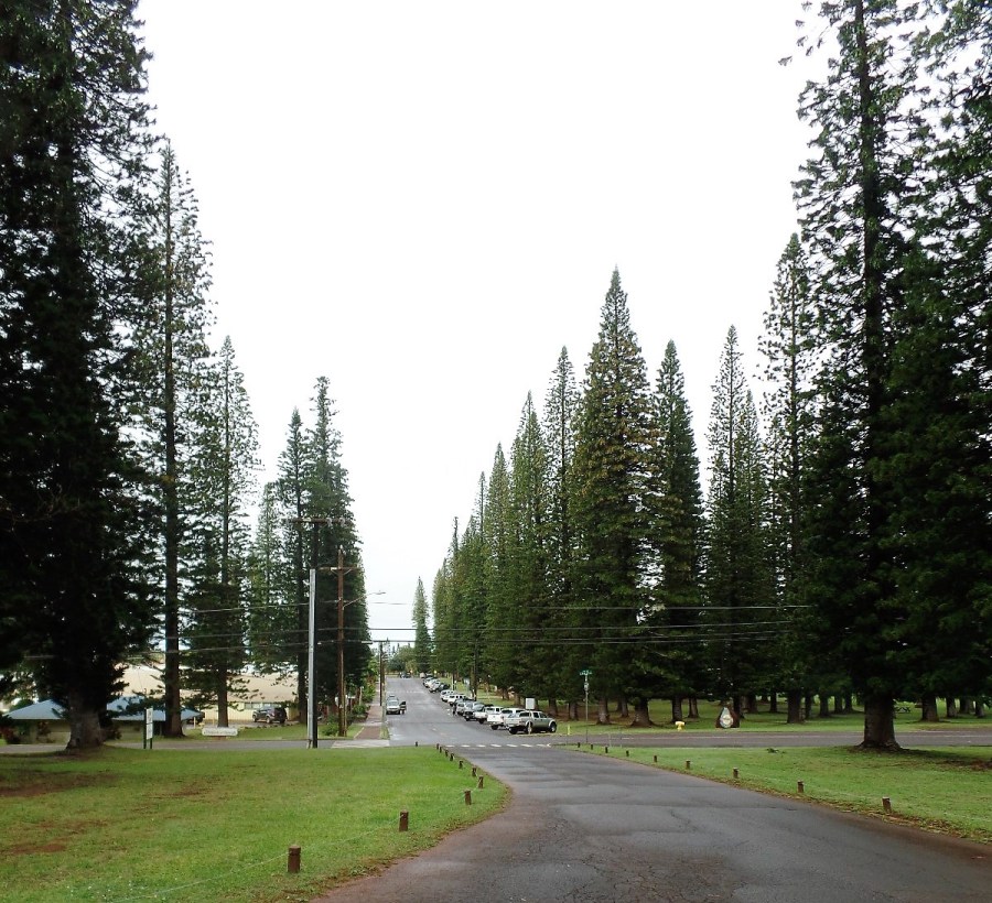 Lanai City