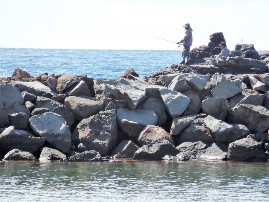 fishing off the rocks