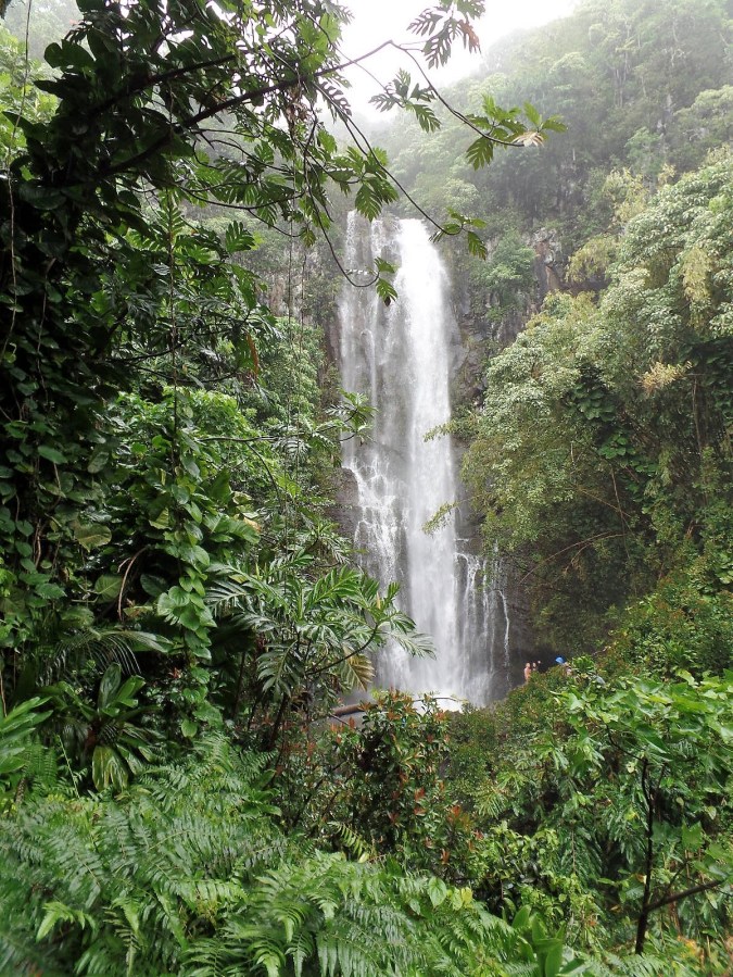 Waterfall on the Road to Hana