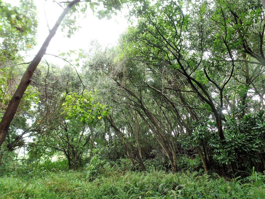 Haleakala National Park