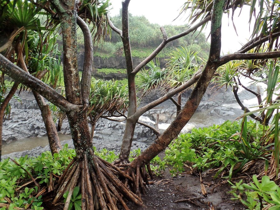 Haleakala National Park