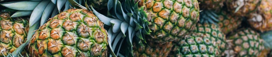 Pineapples - Maria Fernanda Gonzalez